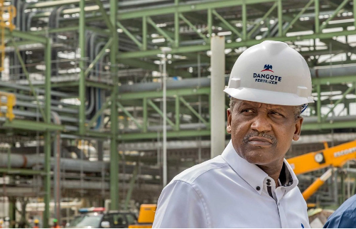 Aliko Dangote's refinery project has the capacity to produce 650,000 barrels per day. [Nairametrics]